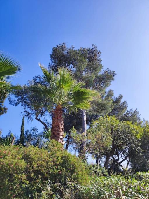 Willa La Californienne Carqueiranne Zewnętrze zdjęcie